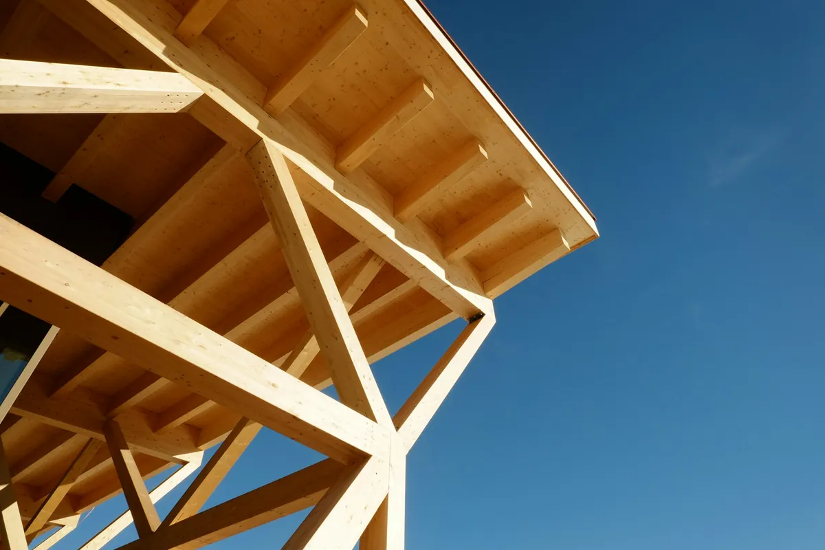 Trent Boathouse: an exposed timber canopy against a clear sky