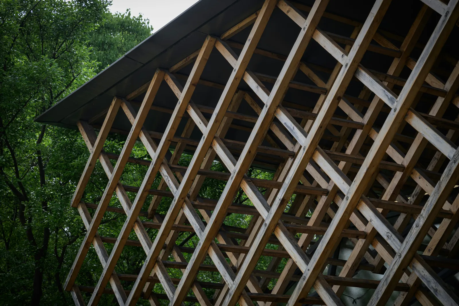 A timber lattice screen against trees