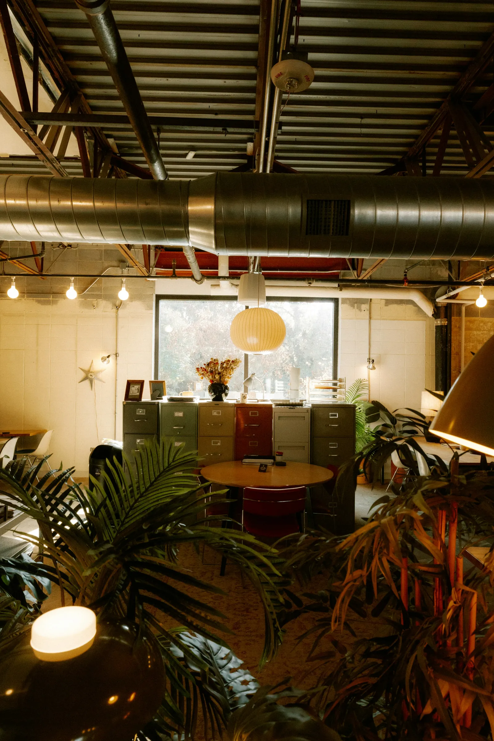 An open studio with desks, plants and exposed services