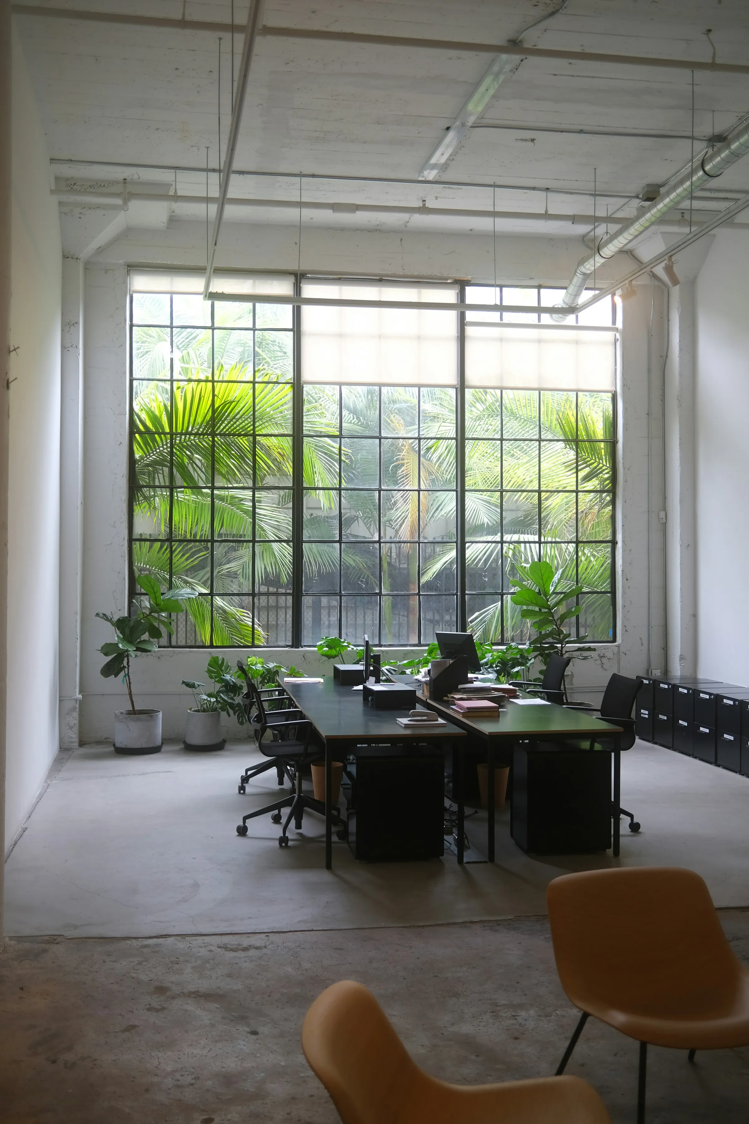 The Lace Market Rooms: a bright studio floor with a tall steel-framed window, plants and desks