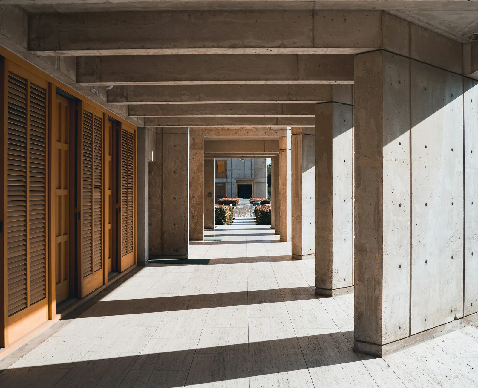 A colonnade of timber and concrete columns with light across the floor