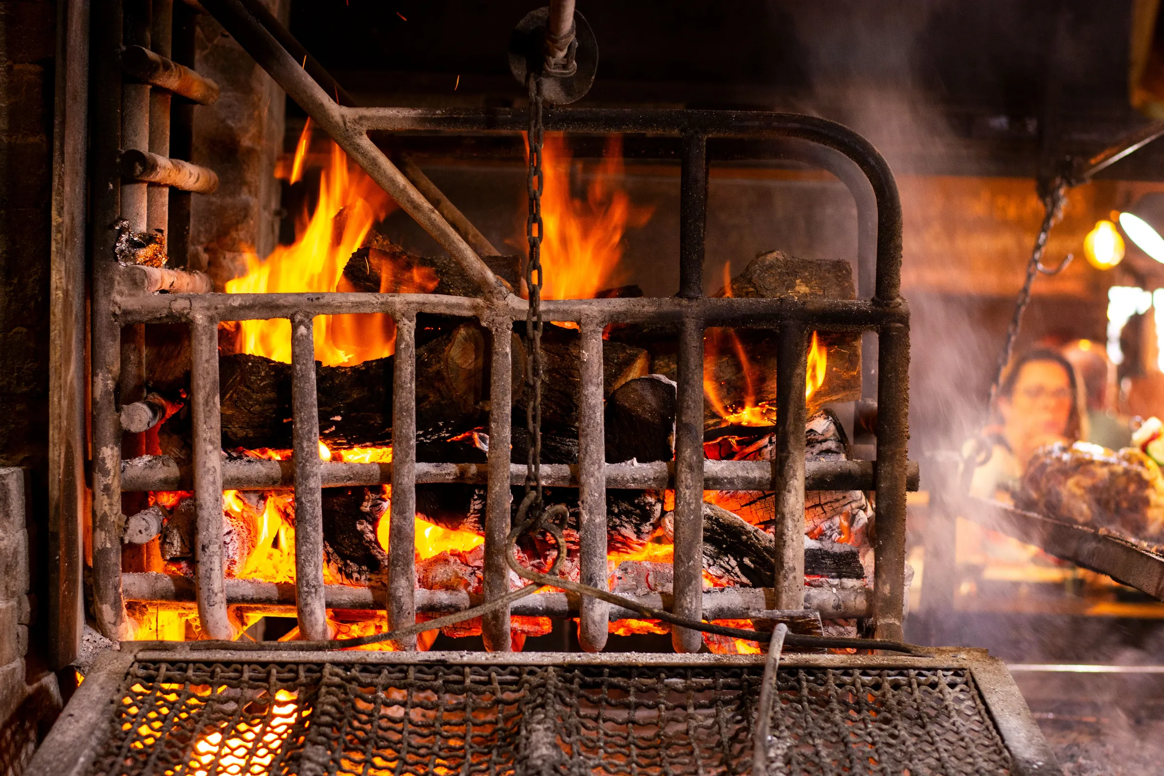 Oak logs burning behind an iron grate, embers glowing underneath
