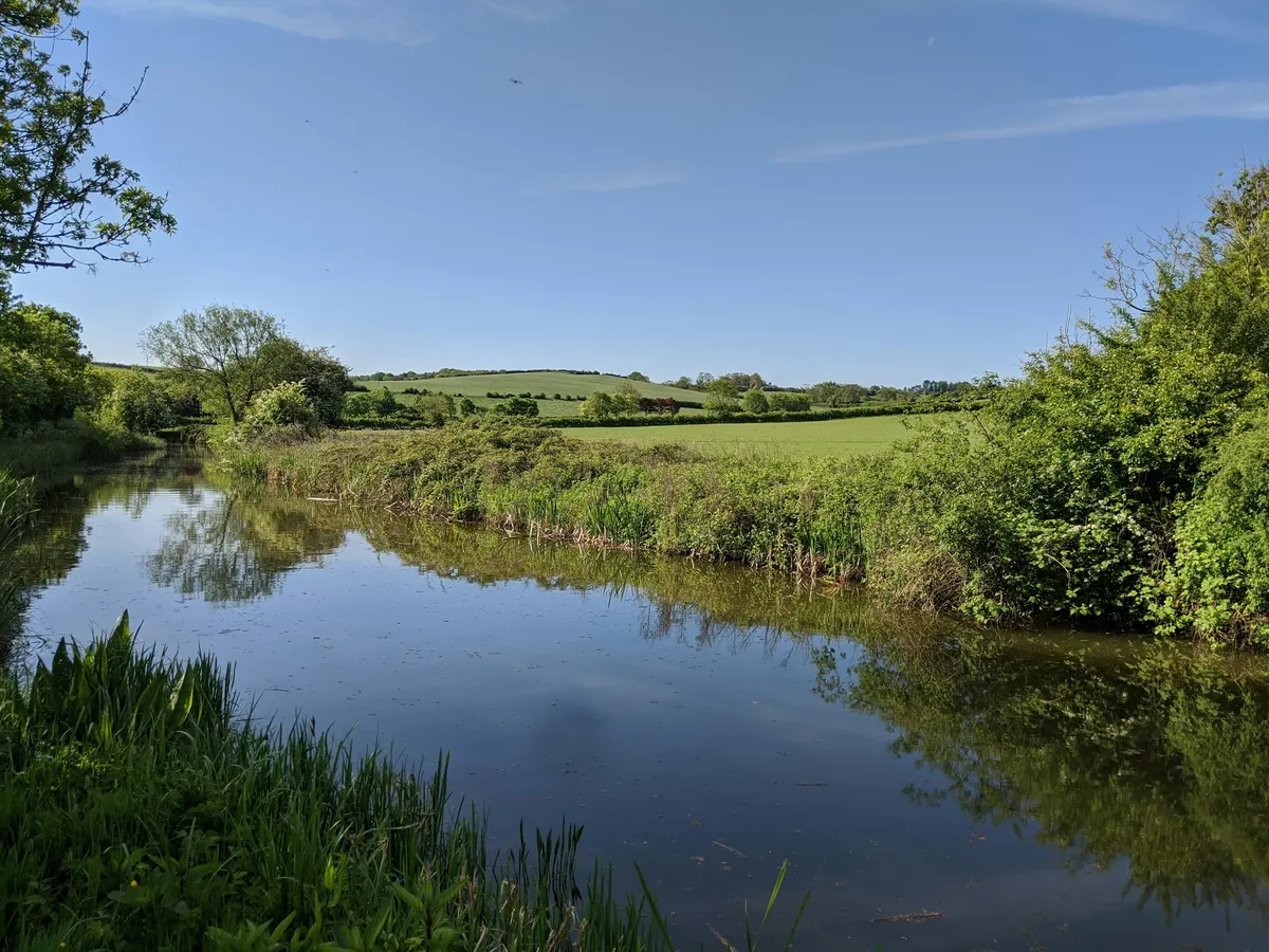 A slow river with willows and meadows either side