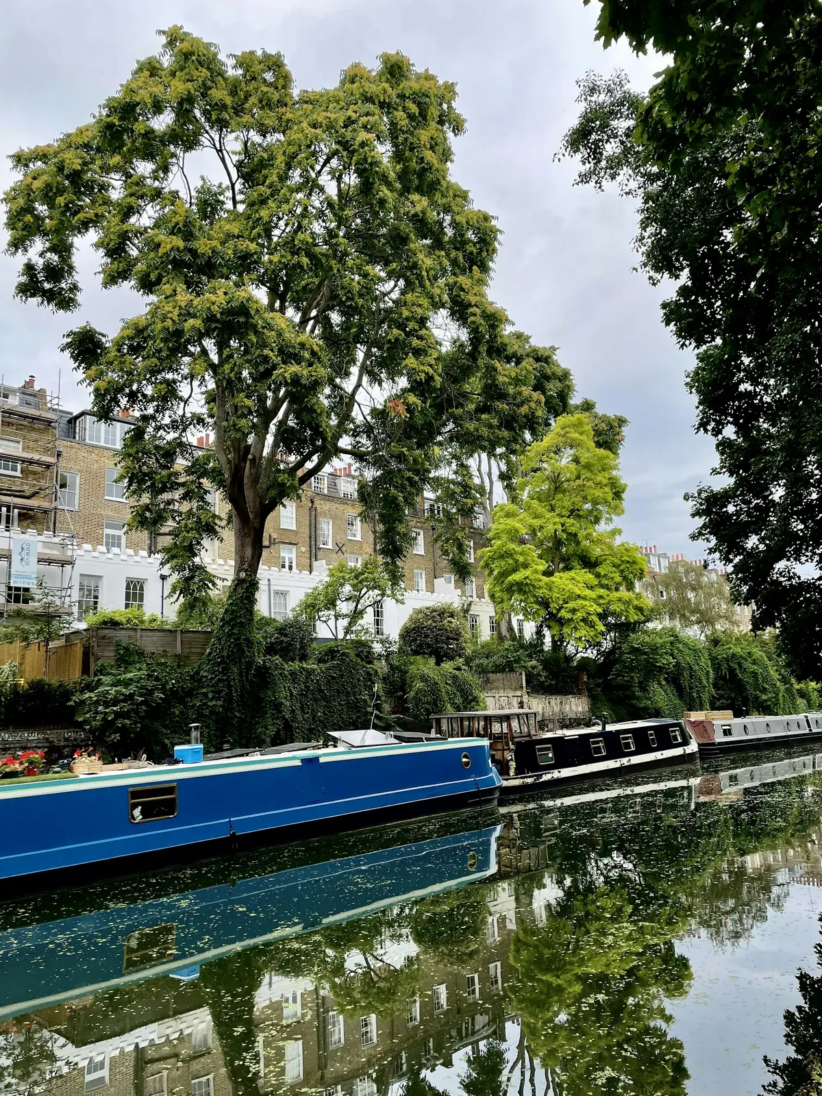 A blue narrowboat moored under trees