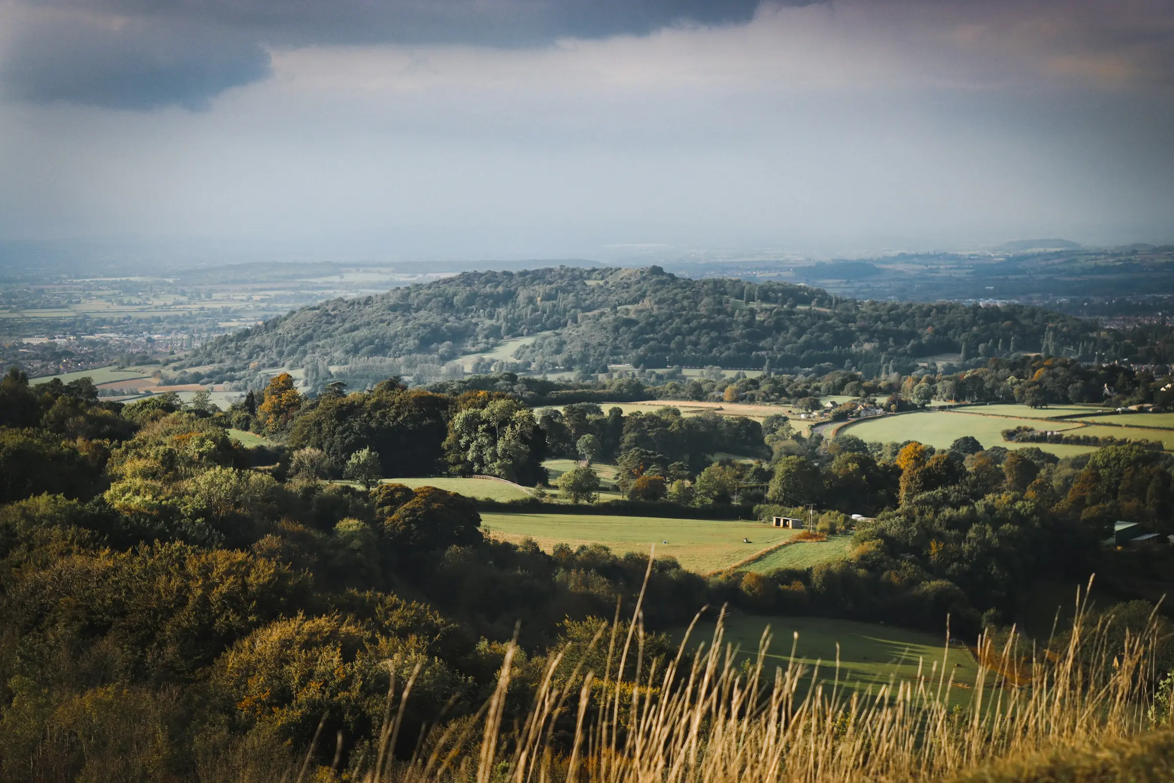 Rolling fields and hedgerows under a low evening sun
