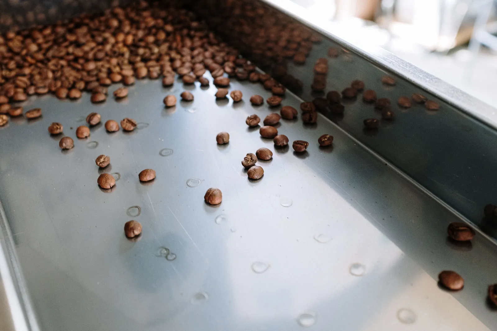 Roasted beans scattered across the steel of a cooling tray