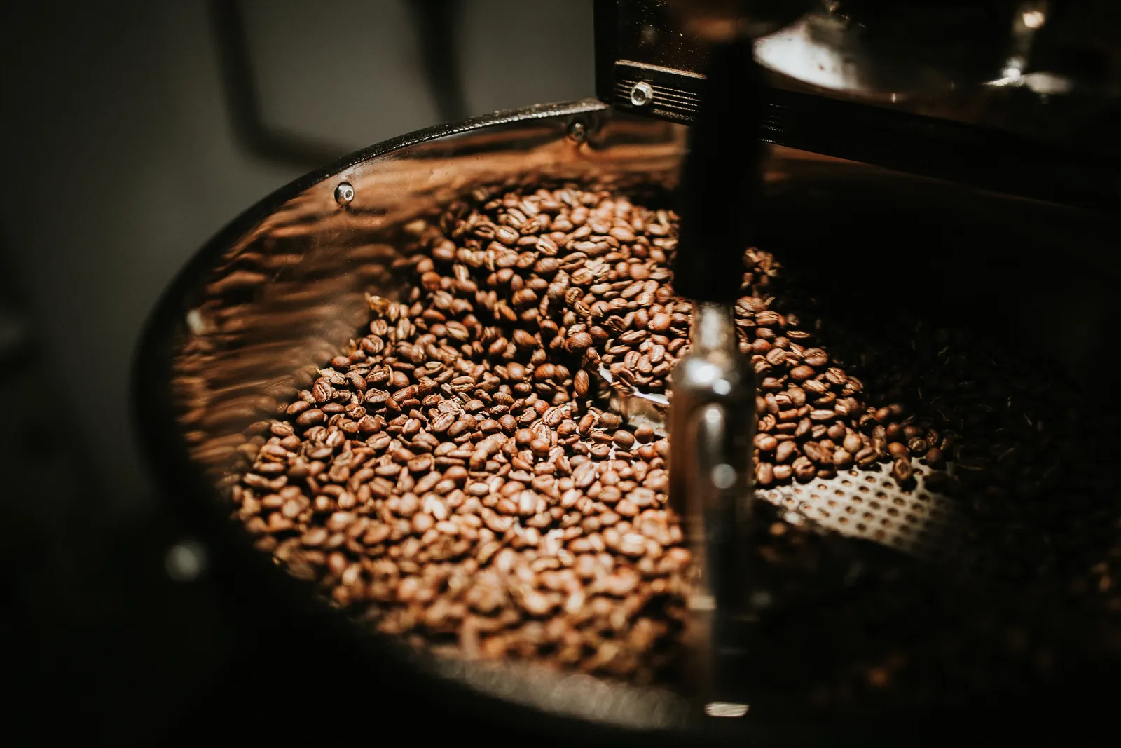 Dark roasted beans tumbling in the cooling tray under low light