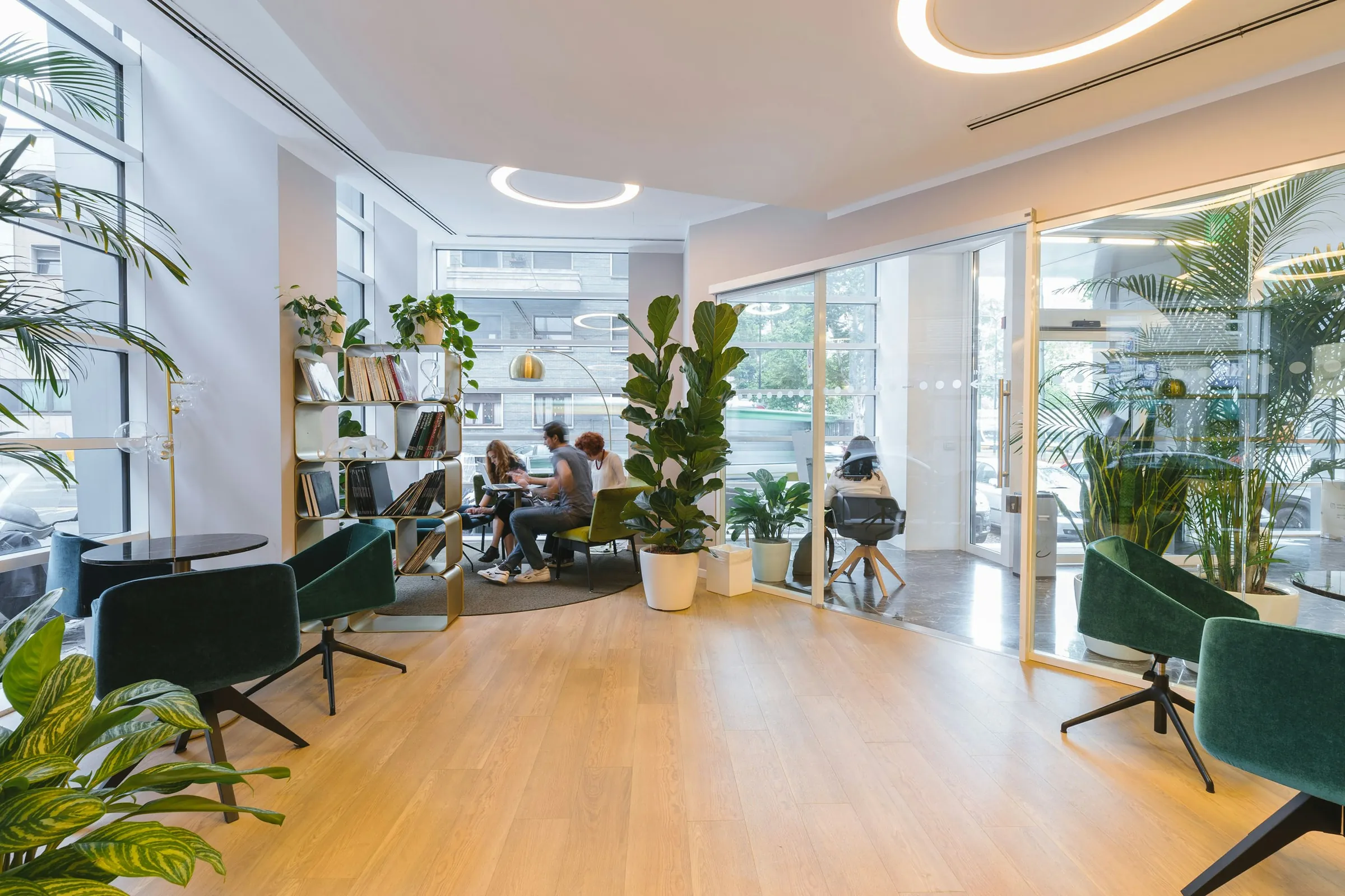A light, plant-filled office lounge with low chairs and tall windows