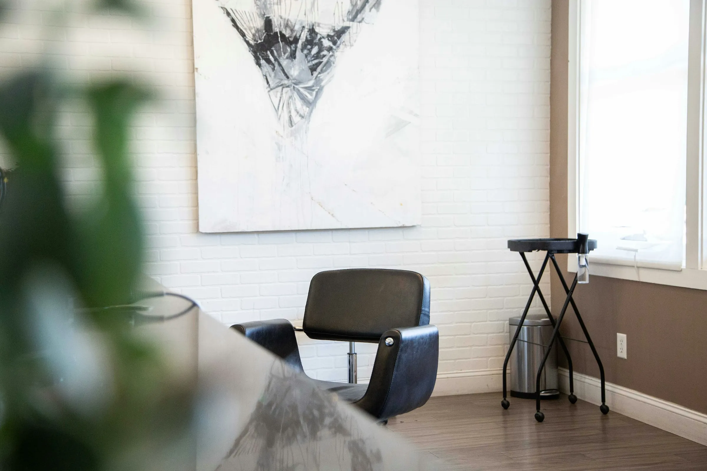 A chair and a plant against the white wall by the window
