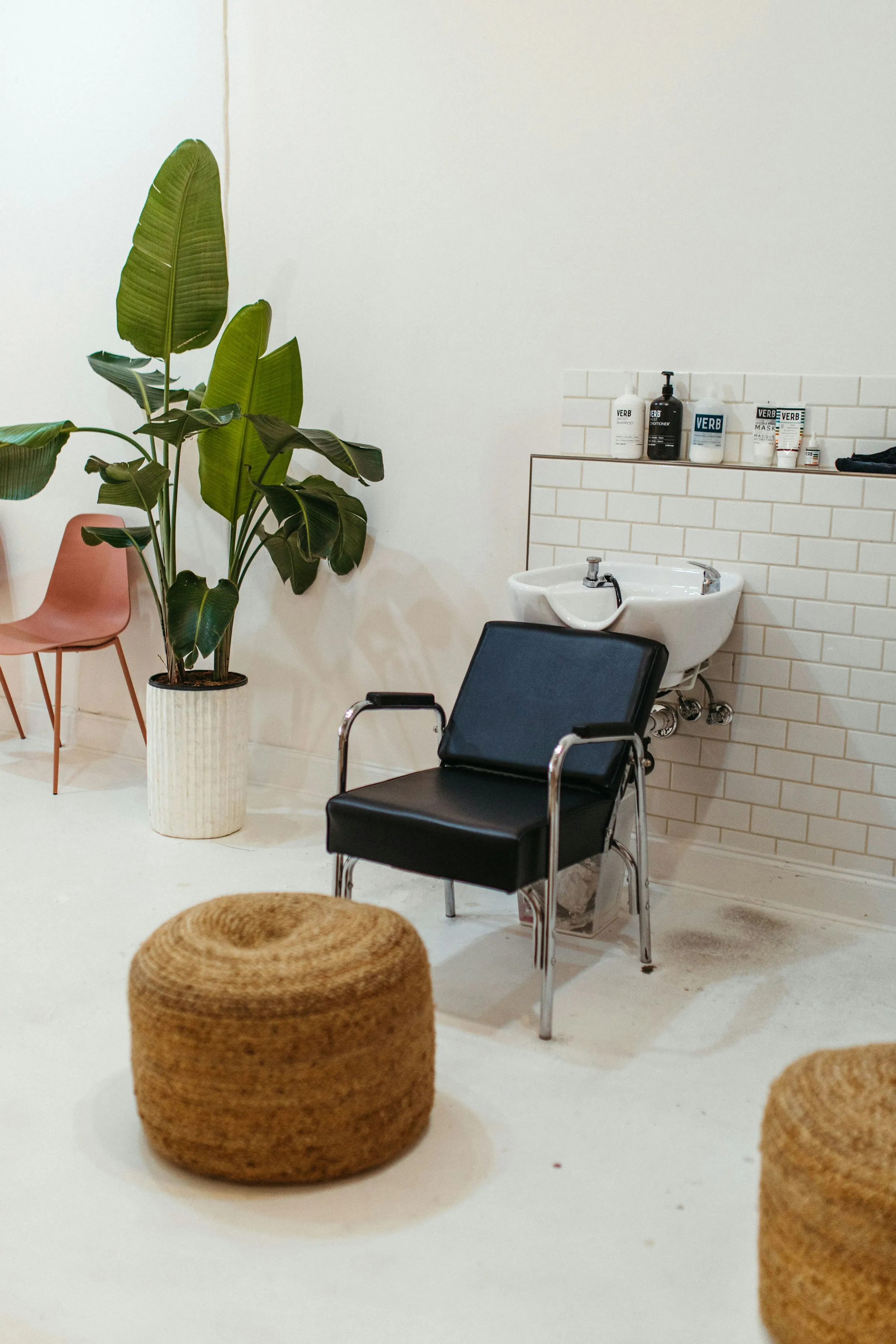 A basin chair beside a plant in the back room