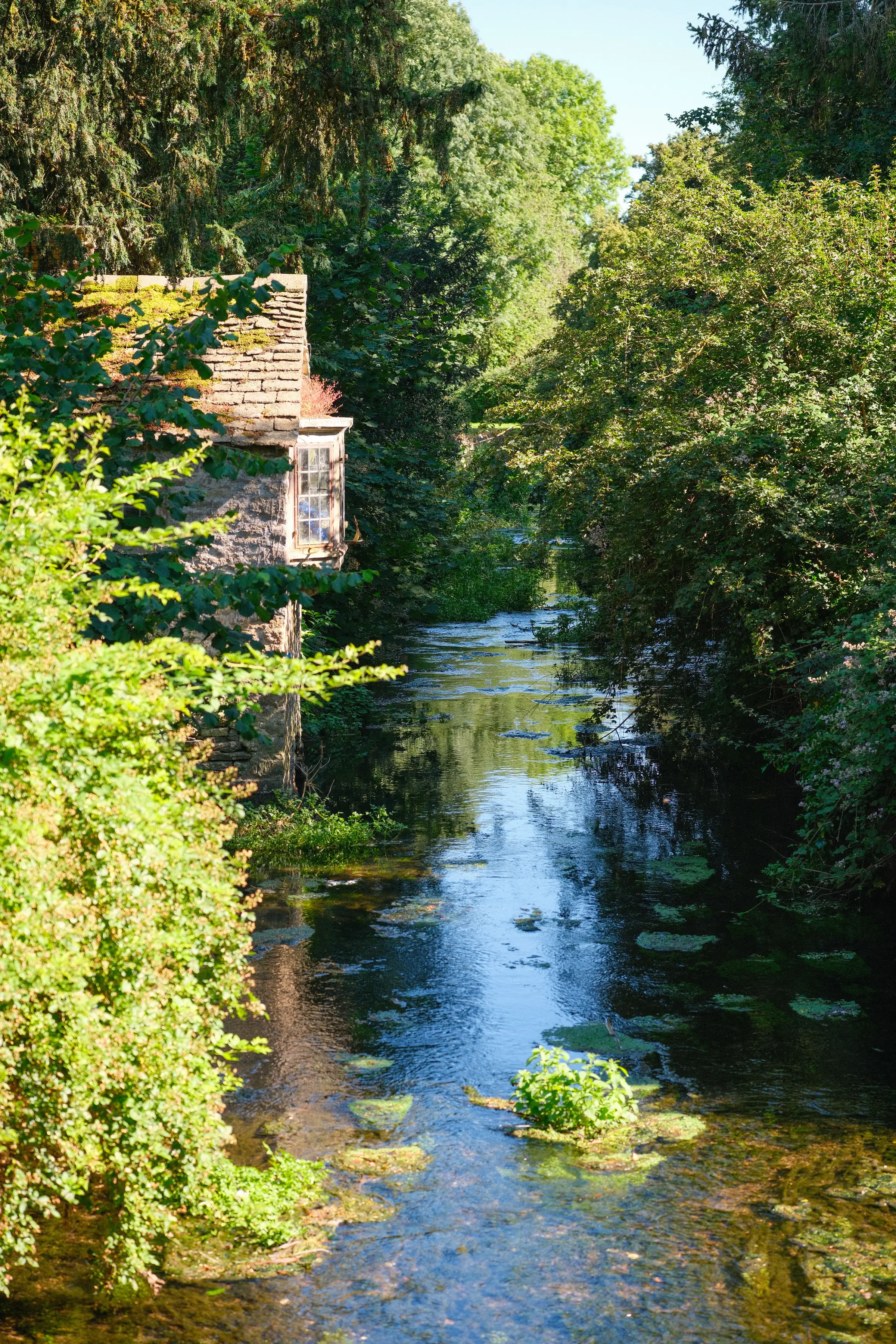 The brook under the trees, sun on the water