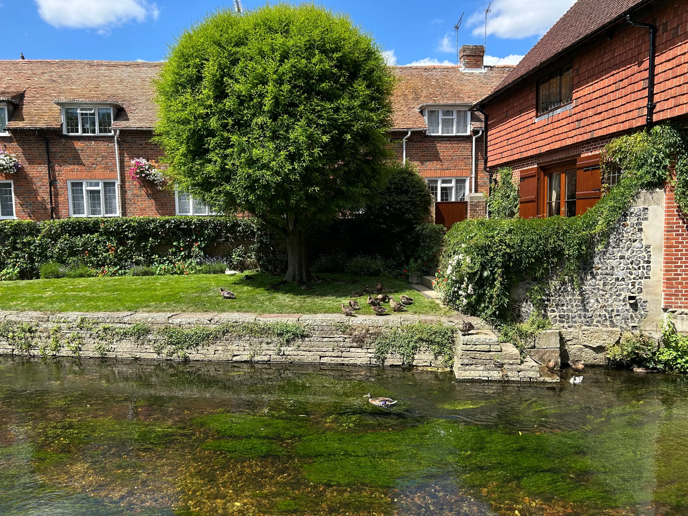Old cottages beside the brook, ducks on the water and trees over the far bank