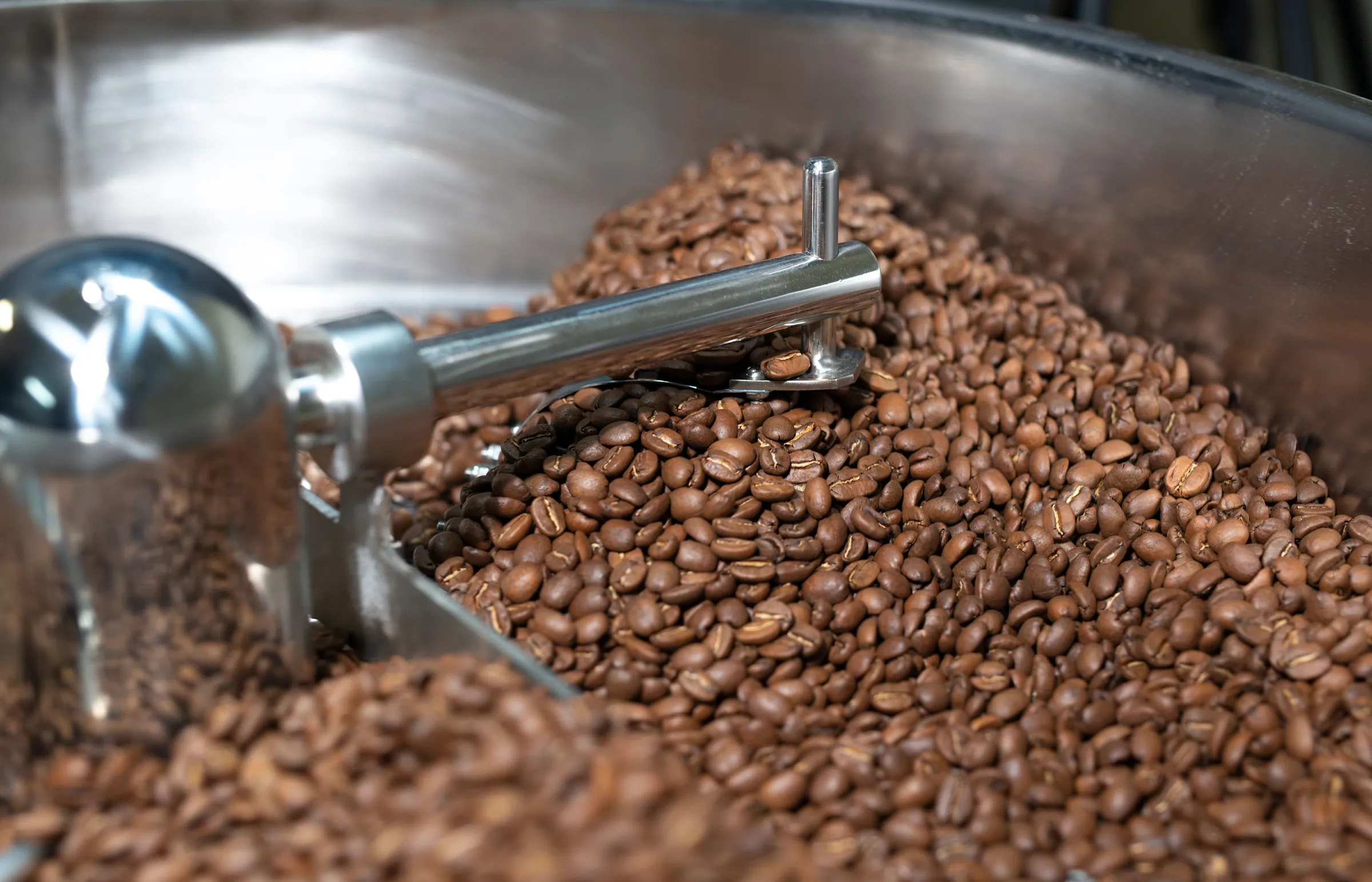 Freshly roasted coffee beans turning in the cooling tray of a roaster