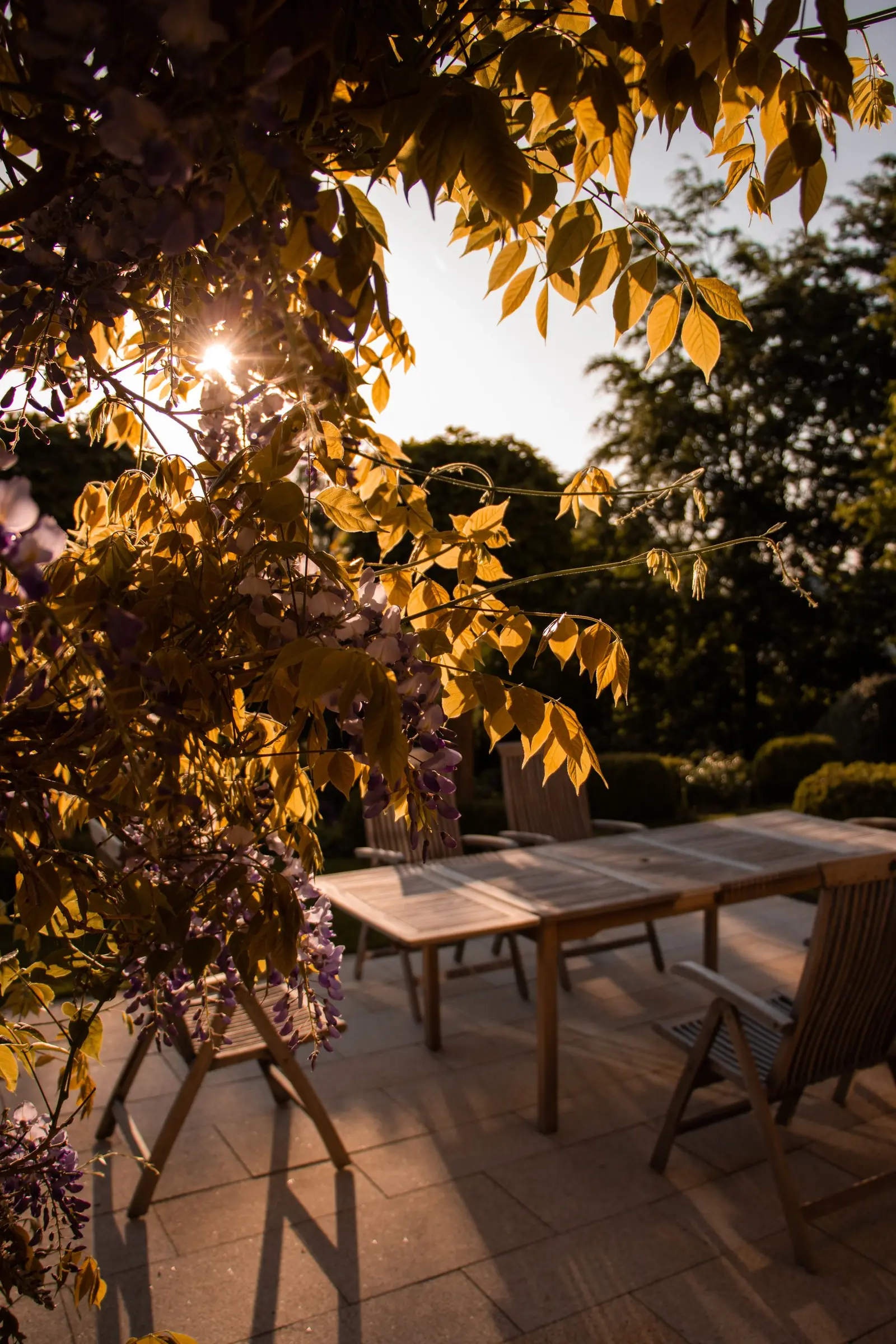 A long table under a tree in a garden at dusk, lit by hanging bulbs.