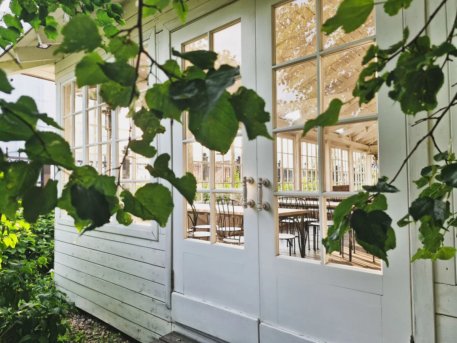 A white-painted garden building with tall glazed doors, a vine growing across the front and clipped box at the base.