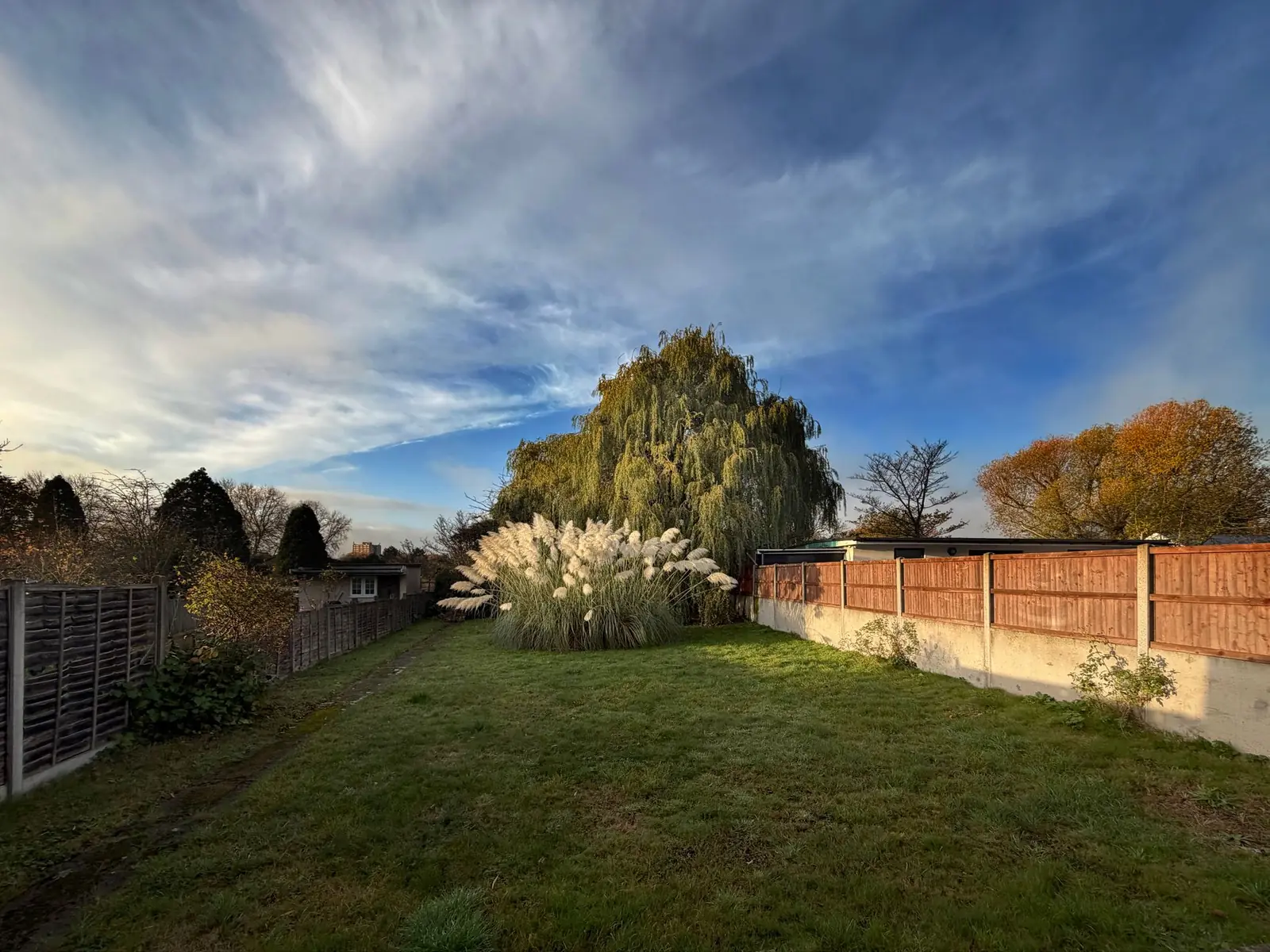 A domestic back garden in low autumn light, timber fence panels along one side and a rough lawn running away to a weeping willow.