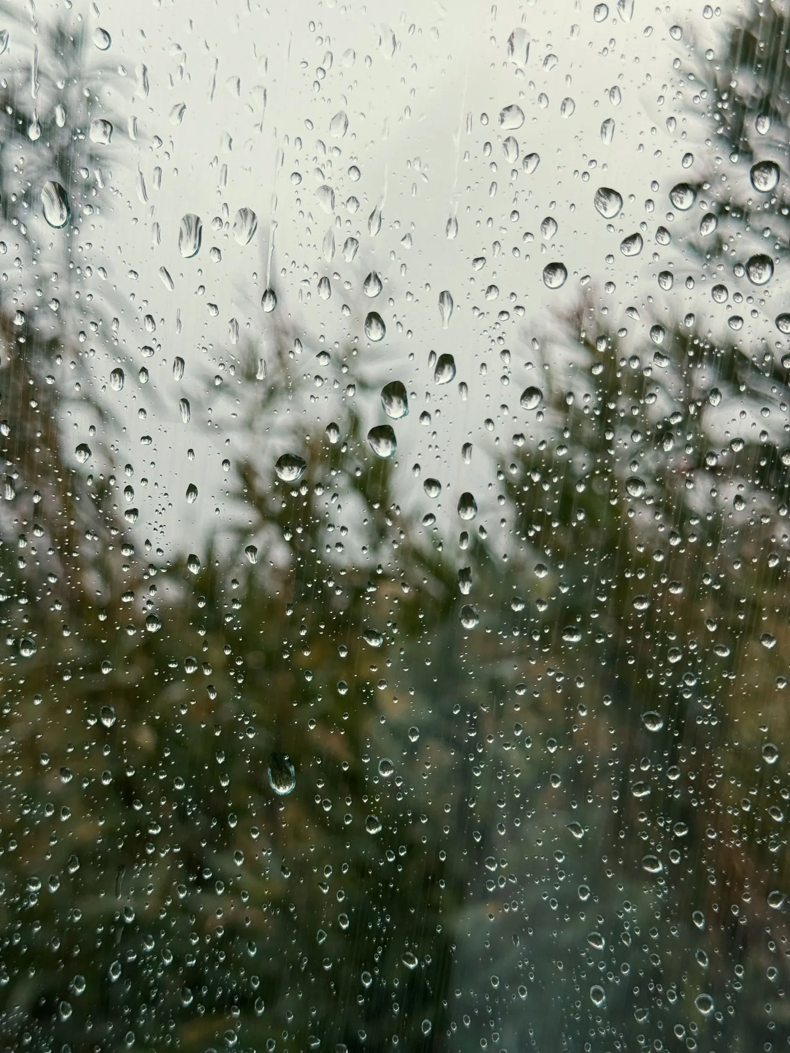 Rain running down a window pane, with blurred trees and green behind it.