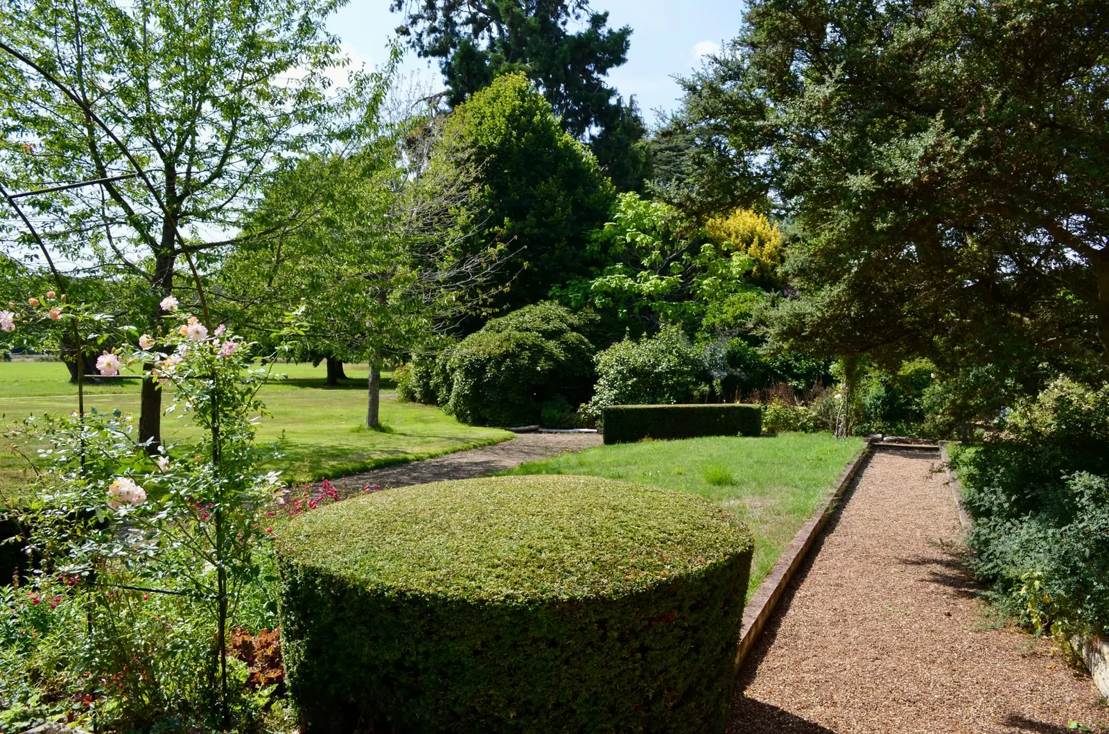 Clipped box hedging beside a gravel path in an English garden.
