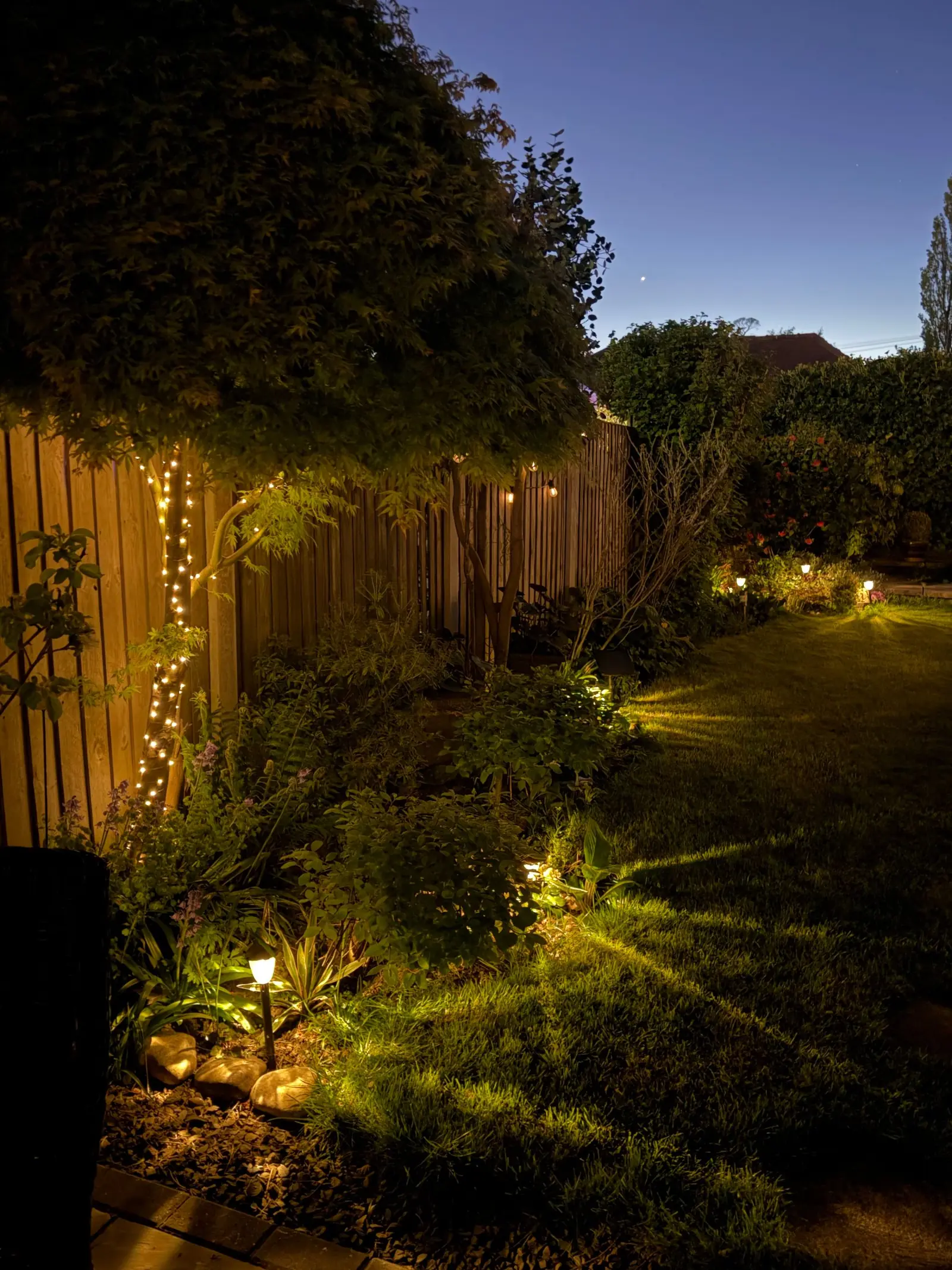 A back garden at dusk with a lit fence line and low lights in the borders.