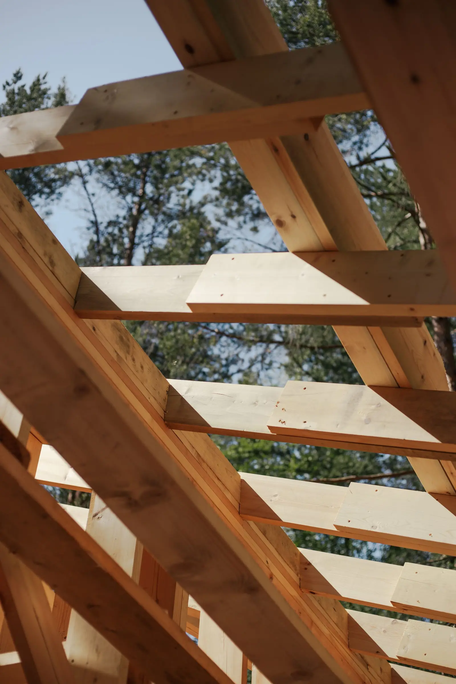 New timber rafters and joists on a roof frame, seen from below against trees.