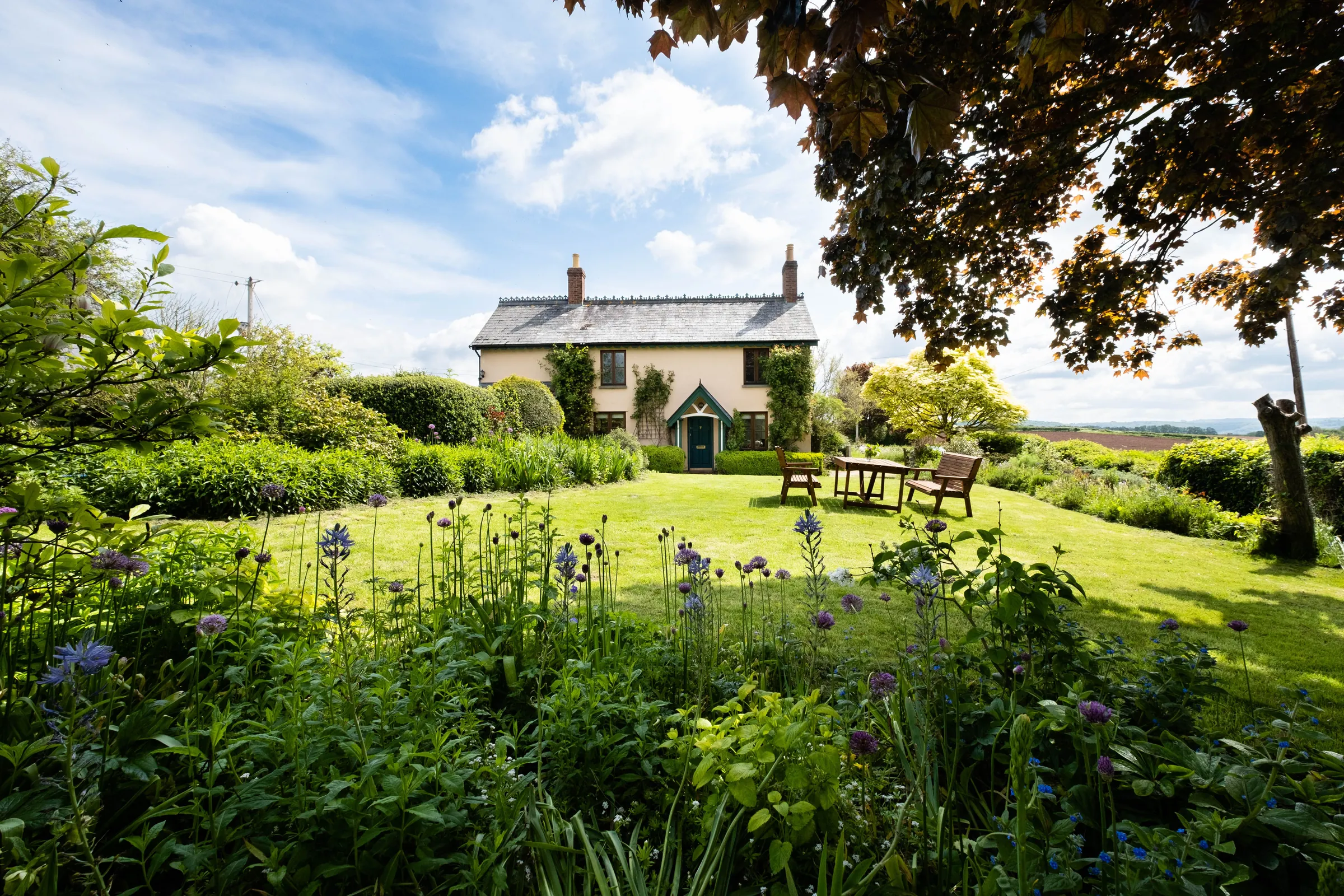 The house seen across the garden in summer, with a bench under the big tree.
