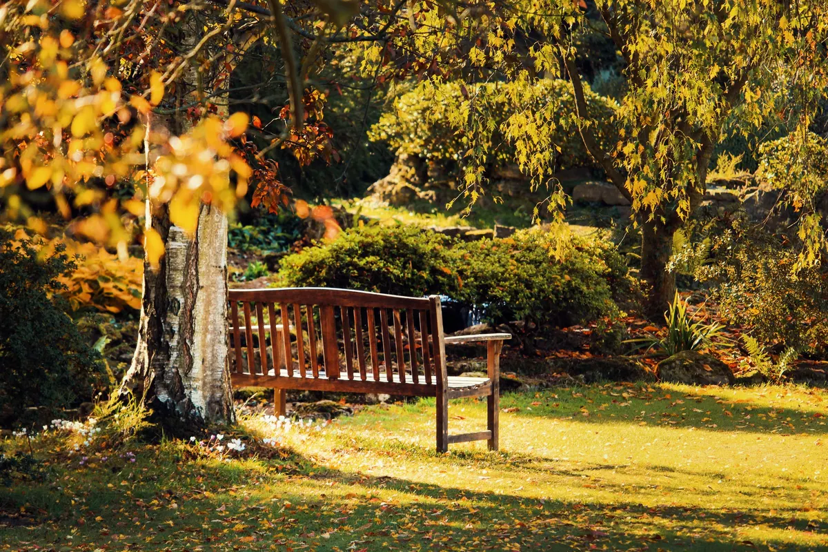 A wooden bench on a lawn under autumn trees, with a level path running past it.