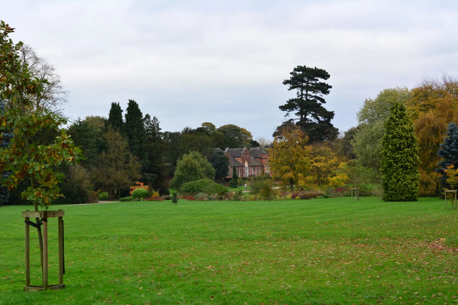 A wide lawn with mature trees turning in autumn and a house set back behind them.