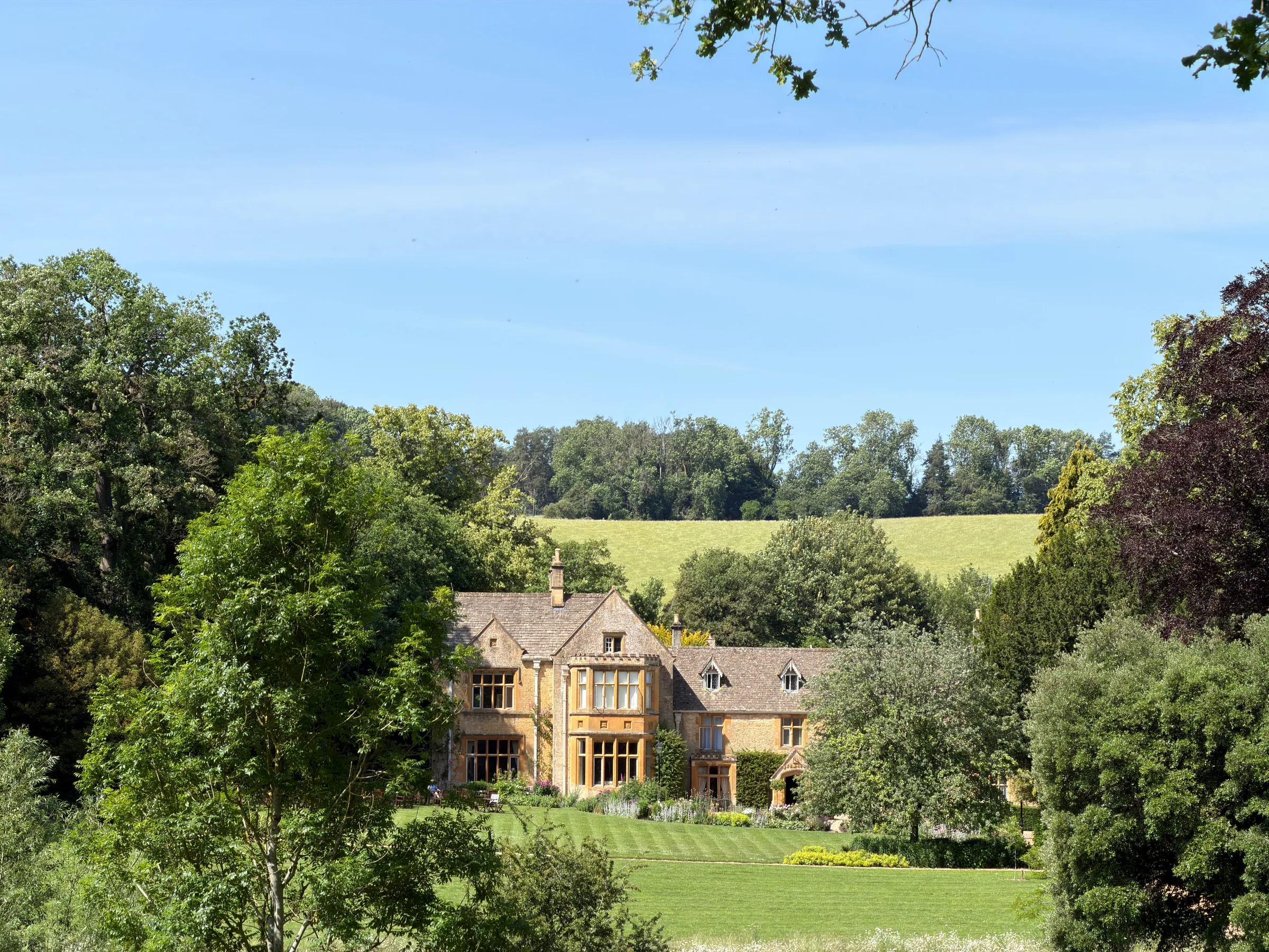 The house from the bottom of the garden in July, gables above the trees.